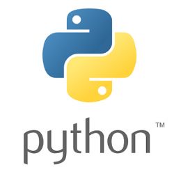 python image